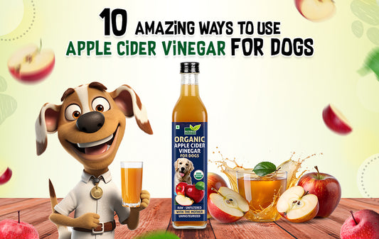 Apple cider vinegar benefits