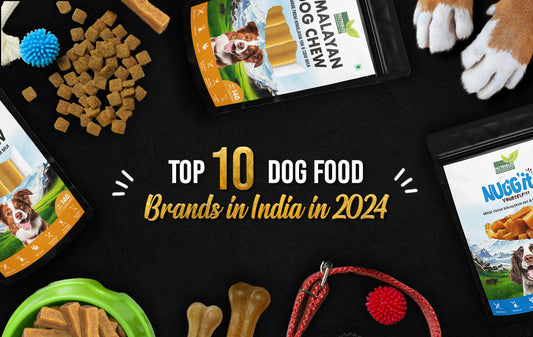 best dog food in india