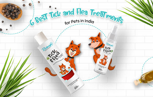 Best tick and flea treatment for cats in india