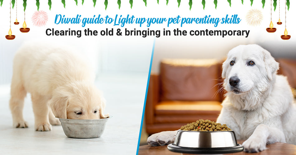 Diwali guide to Light up your pet parenting skills - Clearing the old & bringing in the contemporary