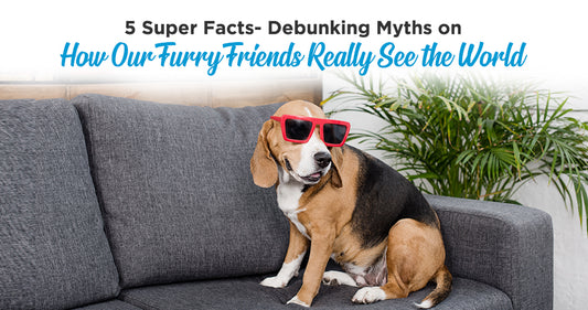 5 Super Facts- Debunking Myths on How Our Pets Really See the World