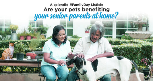 Are your pets benefiting your senior parents at home?