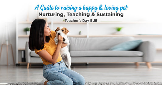 A Guide To Raising A Happy And Loving Pet - Nurturing, Teaching, And Sustaining