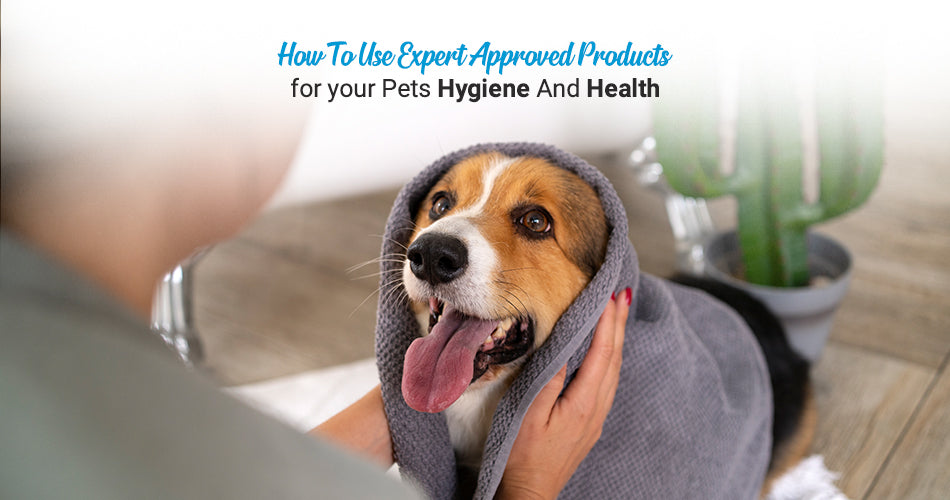 How To Use Expert Approved Products for your Pets Hygiene And Health