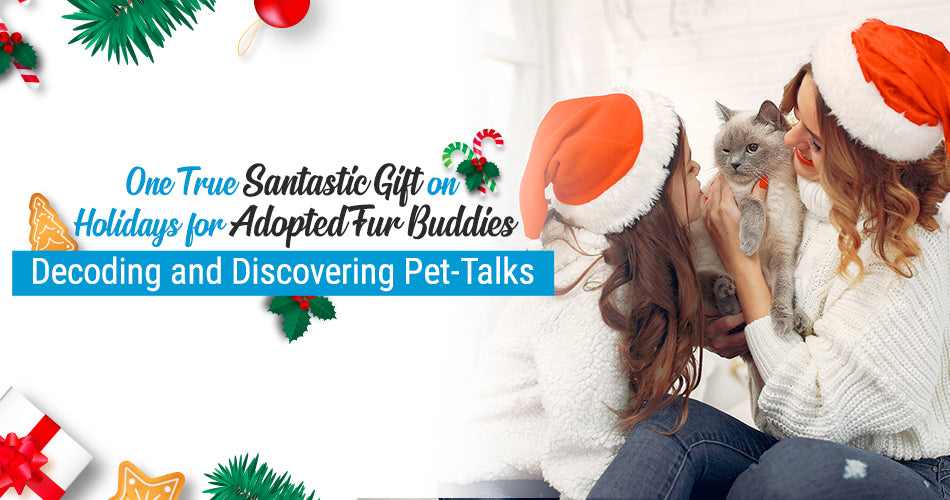 One True Santastic Gift on Holidays for Adopted Fur Buddies