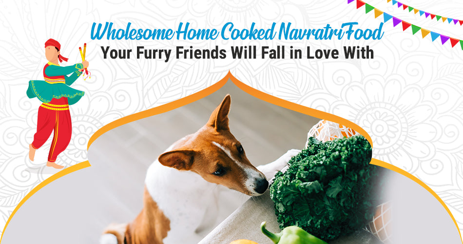 Wholesome Home Cooked Navratri Food Your Furry Friends Will Fall in Love With