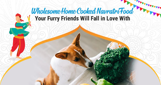 Wholesome Home Cooked Navratri Food Your Furry Friends Will Fall in Love With