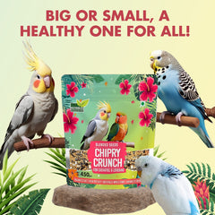 Nutribles Blended Seeds for Cockatiel and Lovebirds 450 GMS (Pack of 1), Bird Food Mix, Natural and Balanced Food for Young, All Age, Size Lovebirds and Cockatiel