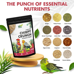 Nutribles Blended Seeds for Cockatiel and Lovebirds 450 GMS (Pack of 1), Bird Food Mix, Natural and Balanced Food for Young, All Age, Size Lovebirds and Cockatiel