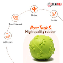 gearbuff go fetch squeaky rubber ball toy neon