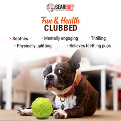gearbuff go fetch squeaky rubber ball toy small